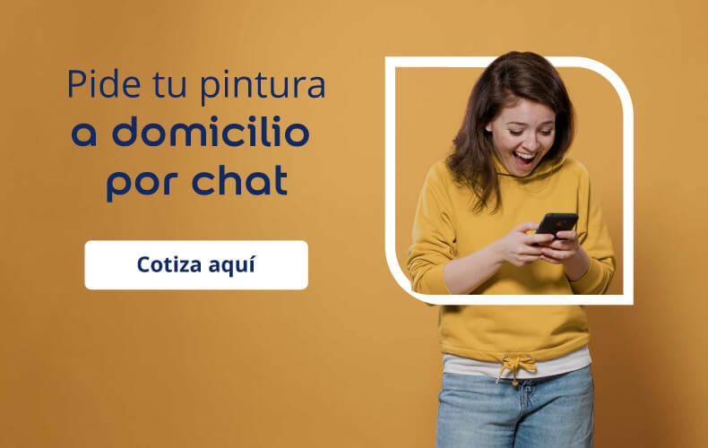 Términos y condiciones entrega de productos a domicilio