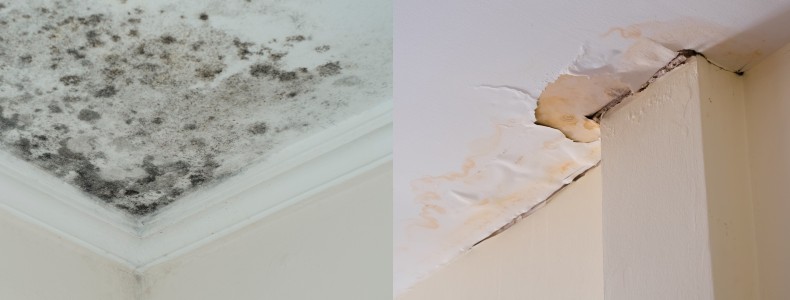 Aplica pintura impermeabilizante para atacar la humedad