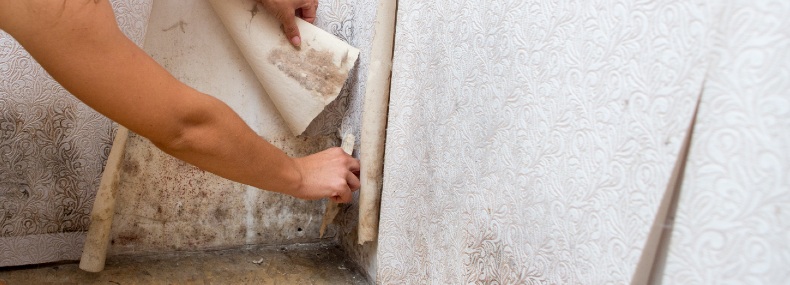 Aplica recubrimiento impermeabilizante y termina con la humedad