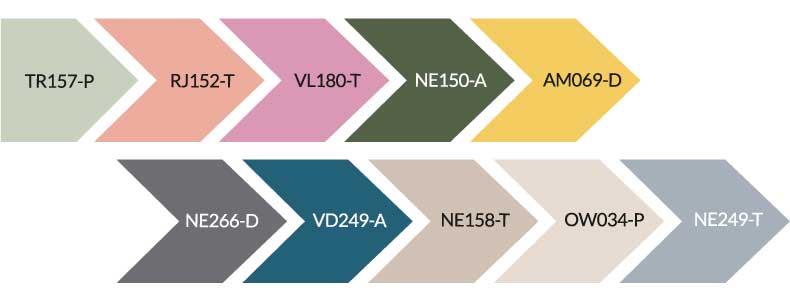 Colores vida colectiva Tendencias de color Pintuco 2020