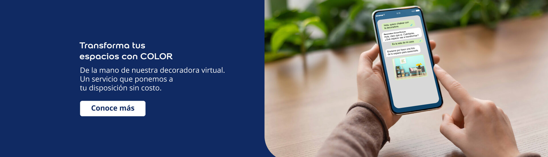 DECORADORA_VIRTUAL_DESKTOP