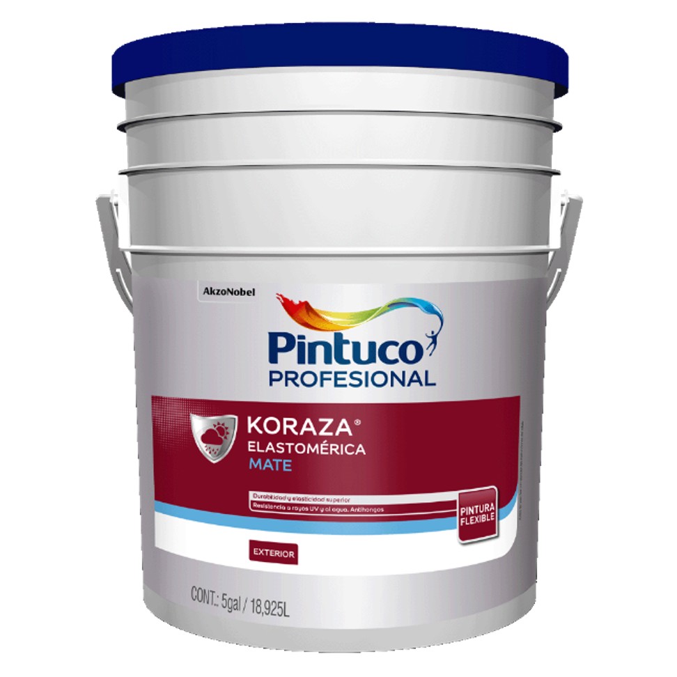 Koraza Profesional Elastomérica